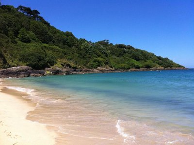 Carbis bay